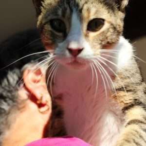 Thomas-2